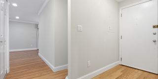 247 Hamilton Avenue Gallery 10