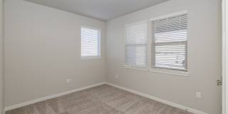 Polaris Peak Gallery 97