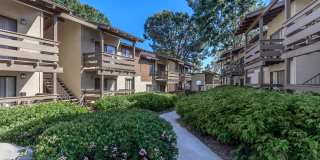 Raintree Apartment Homes Gallery 3