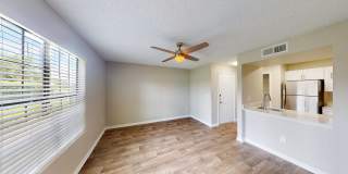 Cypress Run Gallery 28