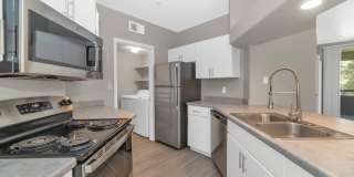 Reflections at Gila Springs Gallery 14