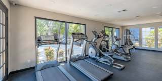 Arbor Creek Gallery 37