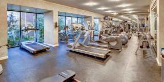 Peninsular Place Apartments - Student Housing Gallery 12