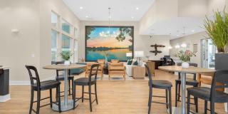 Springs at Mishawaka Gallery 37