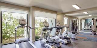 4200 Paradise Gallery 27