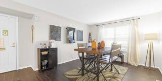 Sawmill Park Gallery 8