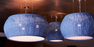 Evolution at Towne Centre Gallery 15