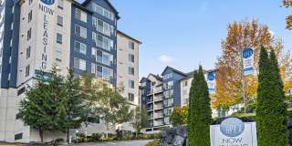 Apex Apartments Gallery 36