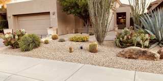 6925 E Sienna Bouquet Place Gallery 1