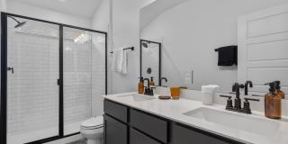 Huge 4-Bedroom Home in Del Valle For Rent Gallery 31