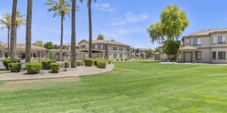 Adiamo Palm Valley Gallery 64