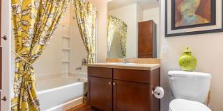 Jamestown Place Gallery 24