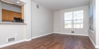 The Village at Town Center Gallery 125