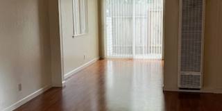 526f Gallery 7