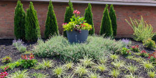 Rosebrook Village Gallery 20