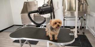 Compass at City Center Gallery 19