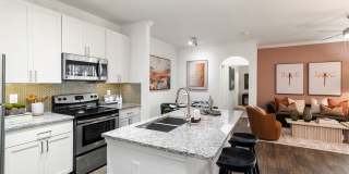 Cortland MacArthur Gallery 2