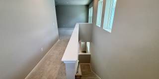 3379 Yellow Cassia Dr Gallery 12