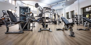 Triana Triana Gallery 29