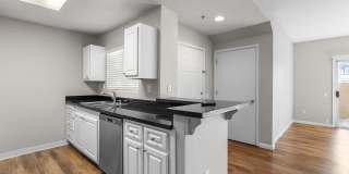 Avery at TownCentre Gallery 143