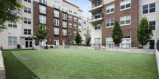 200 City View Gallery 65