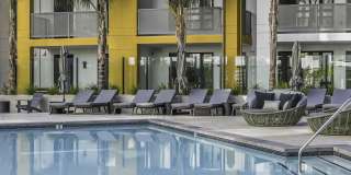 Maxwell at Bascom Maxwell at Bascom Gallery 38