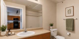 Diamond at Prospect Apartments Gallery 16