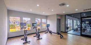 Willow Park Gallery 12