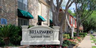 Briarwood Gallery 20