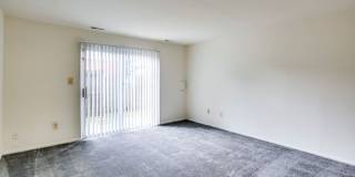 Bright Meadows Gallery 1