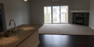 1519 McCleary Lane Gallery 1