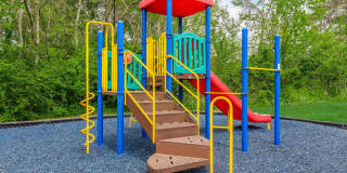 Sussex Downs Gallery 60