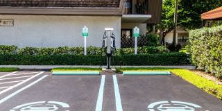 Legacy at the Palms Gallery 9