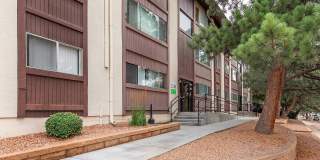 Shannon Hills Gallery 17