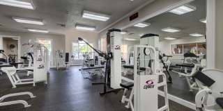 Victoria Place Gallery 86