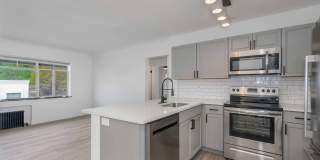 The Jackson Gallery 3