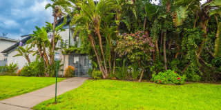 5650 Fair Ave. Gallery 5