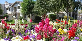 Rise Mountain Ridge Gallery 8