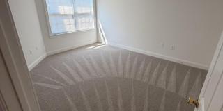 149 Birch Avenue Gallery 17