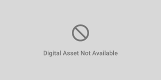 Lakeshore Apartments Gallery 16