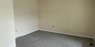 1537 VIOLET Drive Gallery 2