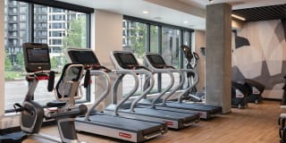 Forte on the Park Gallery 9