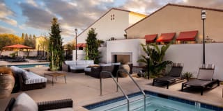 Harvest in Tracy Gallery 25