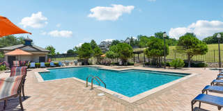 Las Brisas Gallery 35