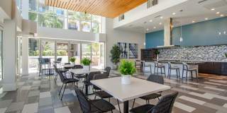 Vive on the Park Gallery 24