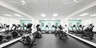 University Ridge Apartments Gallery 24