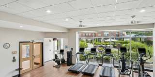 Center Place Gallery 50