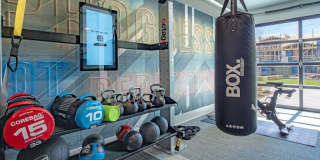 Alta at the Farm Gallery 24