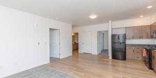 Pointe by Vintage Gallery 25