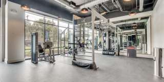 The Met The Met Gallery 38